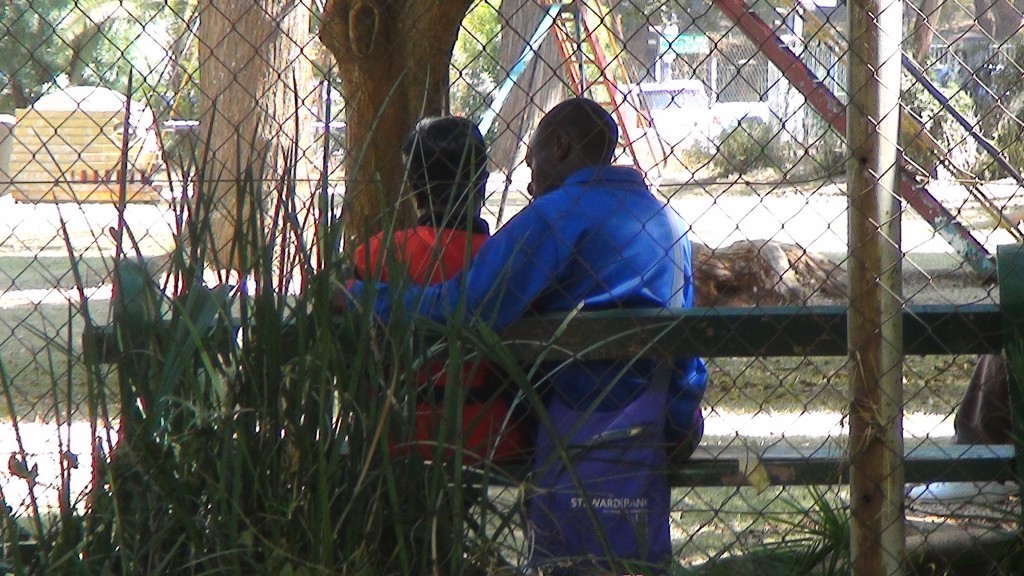 Harare’s Public Displays of Affection- a Little Overboard?